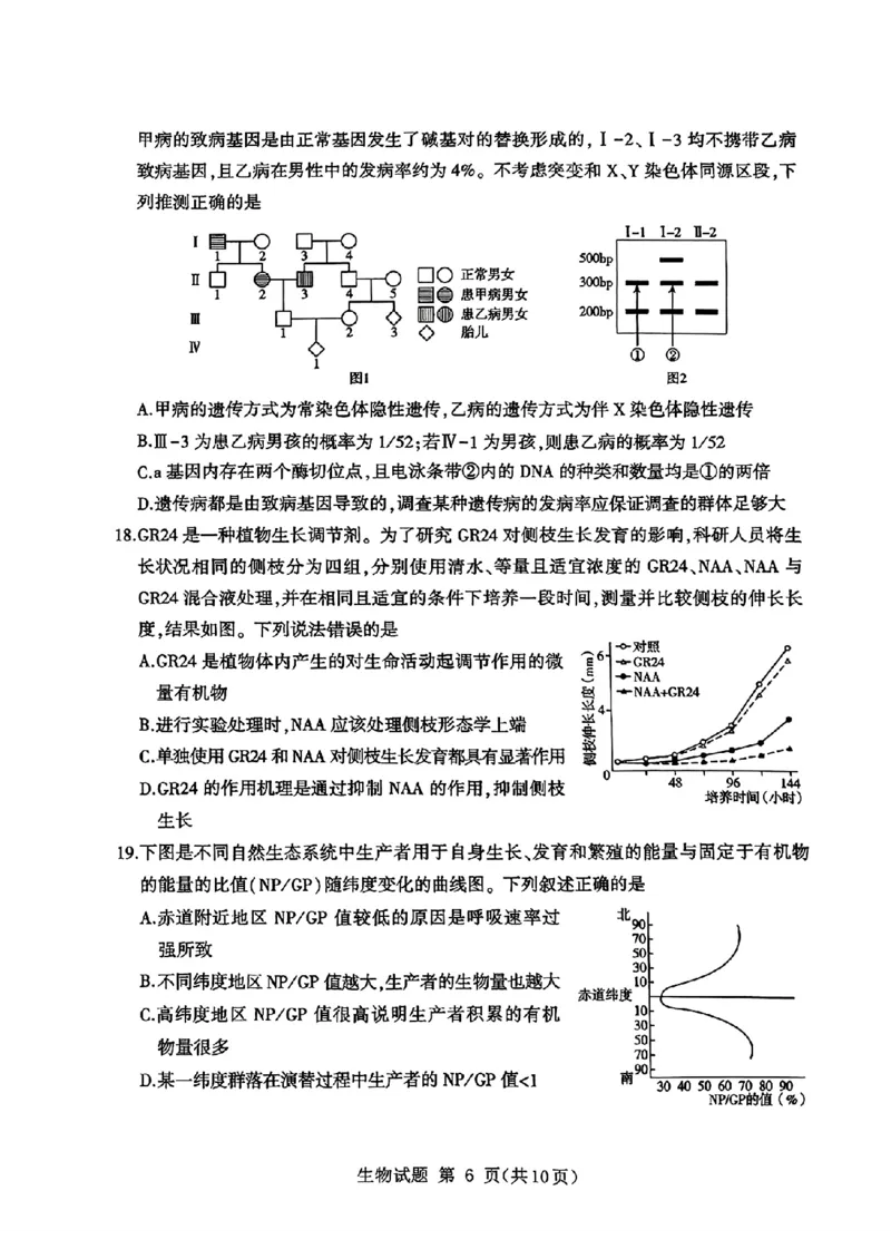 山东省九五高中协作体2025高三年级质量检测（九五联考）生物_2025年5月_250515山东省九五高中协作体2025高三年级质量检测（东营二模）（全科）