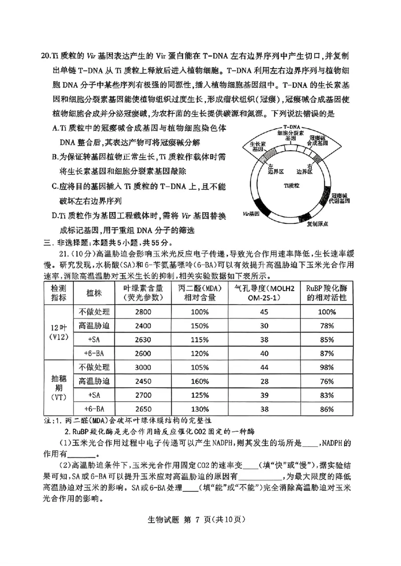 山东省九五高中协作体2025高三年级质量检测（九五联考）生物_2025年5月_250515山东省九五高中协作体2025高三年级质量检测（东营二模）（全科）