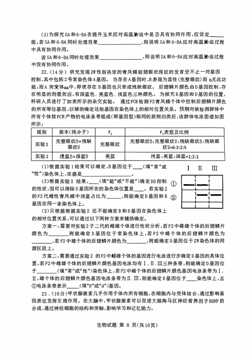 山东省九五高中协作体2025高三年级质量检测（九五联考）生物_2025年5月_250515山东省九五高中协作体2025高三年级质量检测（东营二模）（全科）