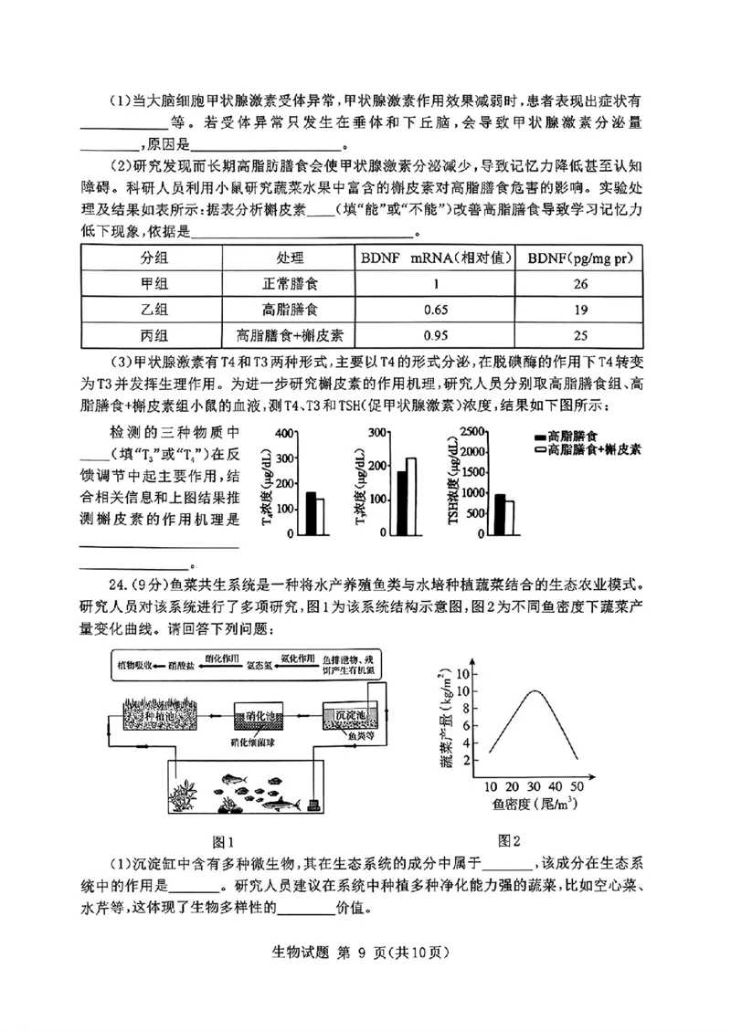 山东省九五高中协作体2025高三年级质量检测（九五联考）生物_2025年5月_250515山东省九五高中协作体2025高三年级质量检测（东营二模）（全科）