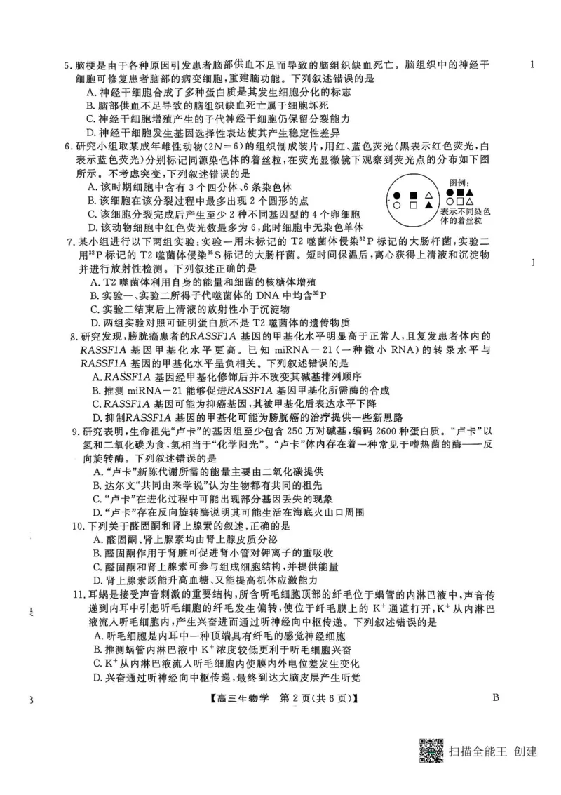 河南省部分学校2024-2025学年高三下学期2月质量检测生物试卷+答案_2025年2月_250219河南省金科大联考2024-2025学年高三下学期2月质量检测