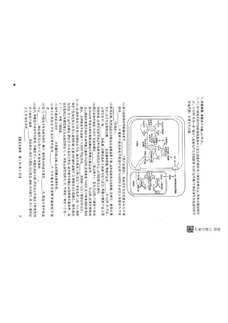 河南省部分学校2024-2025学年高三下学期2月质量检测生物试卷+答案_2025年2月_250219河南省金科大联考2024-2025学年高三下学期2月质量检测