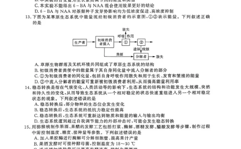 河南省部分学校2024-2025学年高三下学期2月质量检测生物试卷+答案_2025年2月_250219河南省金科大联考2024-2025学年高三下学期2月质量检测