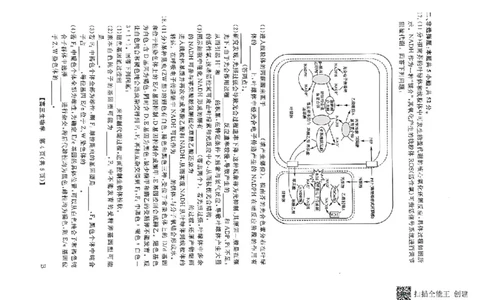 河南省部分学校2024-2025学年高三下学期2月质量检测生物试卷+答案_2025年2月_250219河南省金科大联考2024-2025学年高三下学期2月质量检测