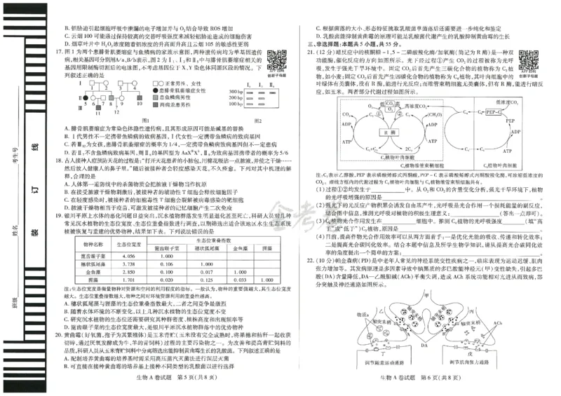 2024年天星高考临考预测押题密卷山东专版（生物_2024高考押题卷_12024天星全系列_@@@天星临考押题密卷汇总重复_2024年tx高考临考押题密卷山东专版