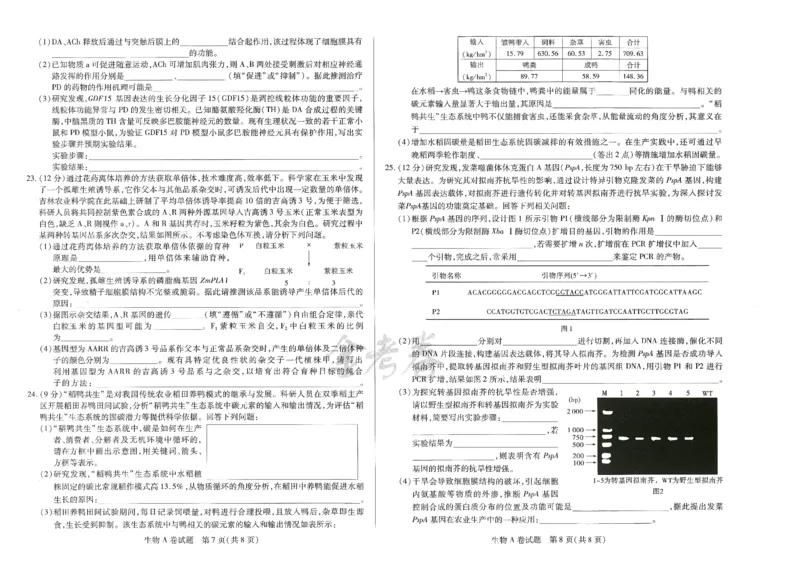 2024年天星高考临考预测押题密卷山东专版（生物_2024高考押题卷_12024天星全系列_@@@天星临考押题密卷汇总重复_2024年tx高考临考押题密卷山东专版