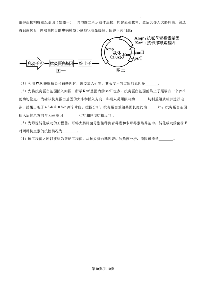 树德中学高2023级高三上开学考试+生物_2025年9月_250903四川省成都市树德中学高2023级高三上开学考试（全科）_四川省成都市树德中学高2023级高三上开学考试生物