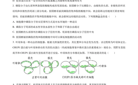 树德中学高2023级高三上开学考试+生物_2025年9月_250903四川省成都市树德中学高2023级高三上开学考试（全科）_四川省成都市树德中学高2023级高三上开学考试生物
