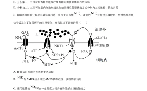 树德中学高2023级高三上开学考试+生物_2025年9月_250903四川省成都市树德中学高2023级高三上开学考试（全科）_四川省成都市树德中学高2023级高三上开学考试生物