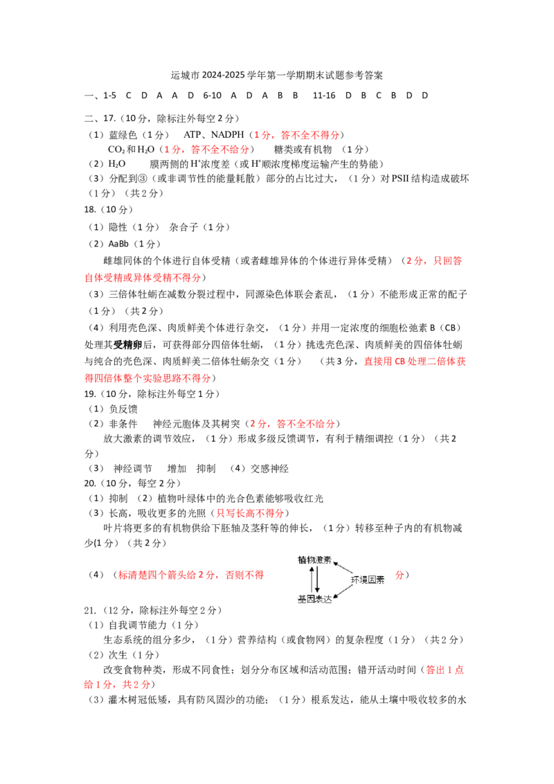 高三生物参考答案_2025年1月_2501162025运城市高三第一学期期末调研测试（全科）_生物