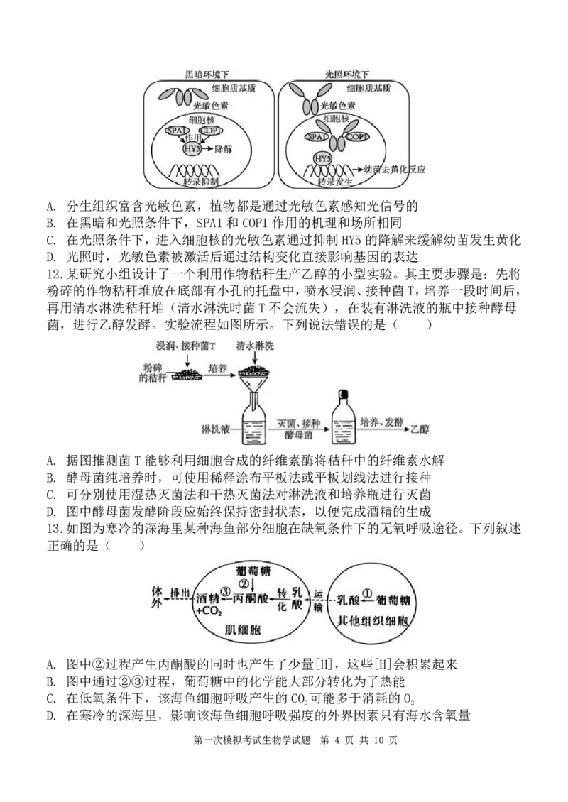 陕西省西安中学2025届高三下学期第一次模拟考试生物_2025年2月_250211陕西省西安中学2025届高三下学期第一次模拟考试试题（全科）