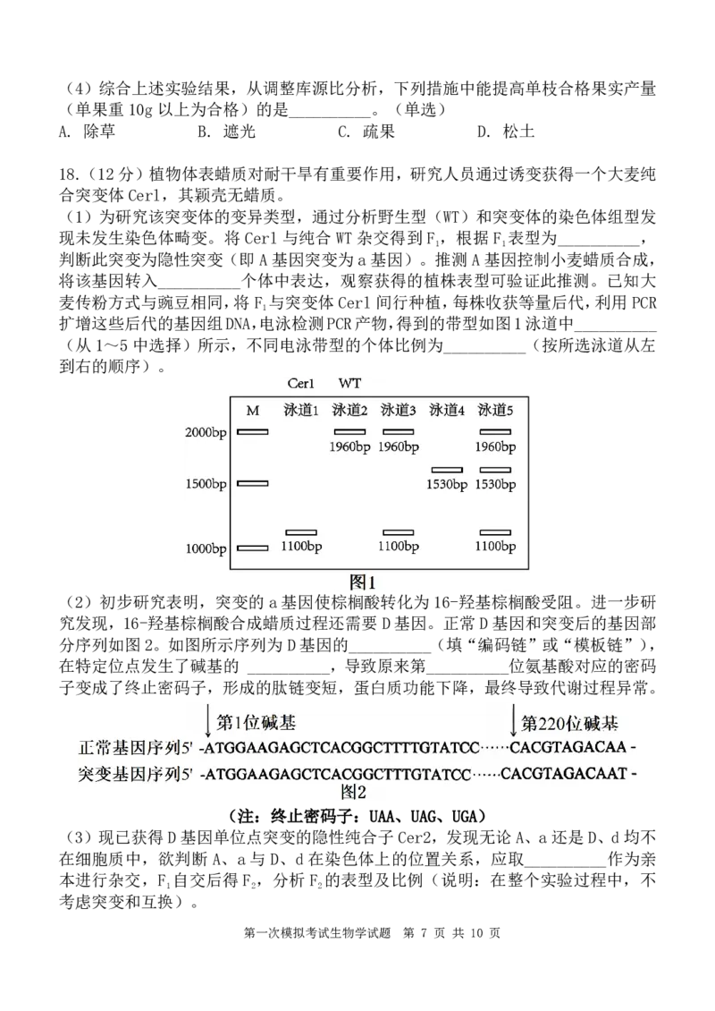 陕西省西安中学2025届高三下学期第一次模拟考试生物_2025年2月_250211陕西省西安中学2025届高三下学期第一次模拟考试试题（全科）