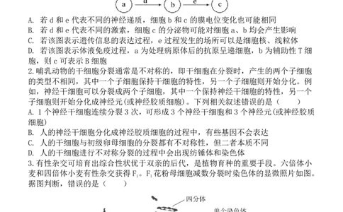 陕西省西安中学2025届高三下学期第一次模拟考试生物_2025年2月_250211陕西省西安中学2025届高三下学期第一次模拟考试试题（全科）