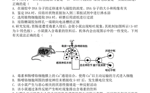 陕西省西安中学2025届高三下学期第一次模拟考试生物_2025年2月_250211陕西省西安中学2025届高三下学期第一次模拟考试试题（全科）
