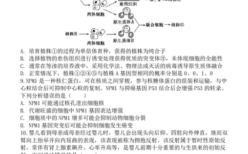 陕西省西安中学2025届高三下学期第一次模拟考试生物_2025年2月_250211陕西省西安中学2025届高三下学期第一次模拟考试试题（全科）