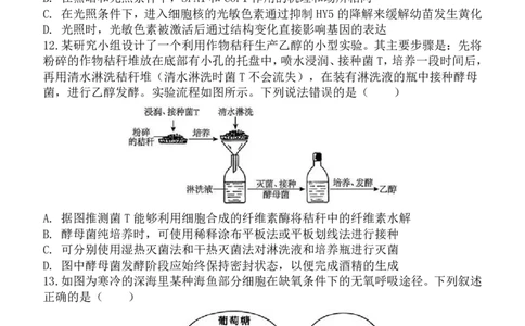 陕西省西安中学2025届高三下学期第一次模拟考试生物_2025年2月_250211陕西省西安中学2025届高三下学期第一次模拟考试试题（全科）