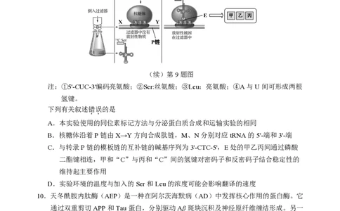 生物试卷_2025年8月_250809言蹊联考2025-2026学年新高三上学期毕业班适应性检测_言蹊八月联考2026届新高三毕业班适应性检测生物