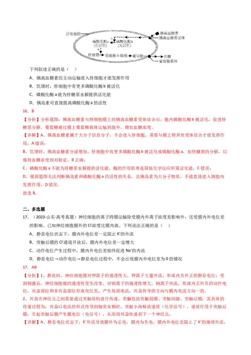 专题02物质进出细胞、酶和ATP（解析卷）_近10年高考真题汇编（必刷）_十年（2014-2024）高考生物真题分项汇编（全国通用）_2023年高考真题和模拟题生物分项汇编（全国通用）