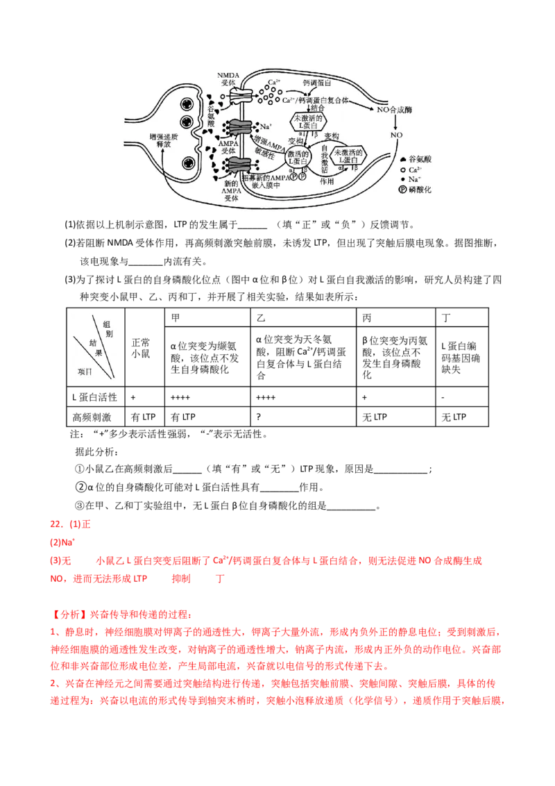 专题02物质进出细胞、酶和ATP（解析卷）_近10年高考真题汇编（必刷）_十年（2014-2024）高考生物真题分项汇编（全国通用）_2023年高考真题和模拟题生物分项汇编（全国通用）
