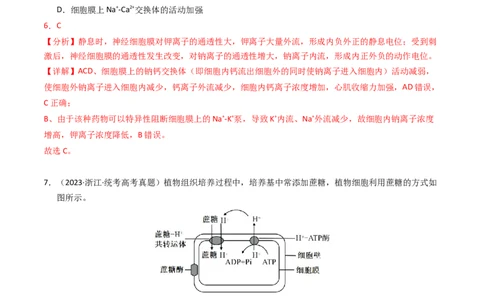 专题02物质进出细胞、酶和ATP（解析卷）_近10年高考真题汇编（必刷）_十年（2014-2024）高考生物真题分项汇编（全国通用）_2023年高考真题和模拟题生物分项汇编（全国通用）