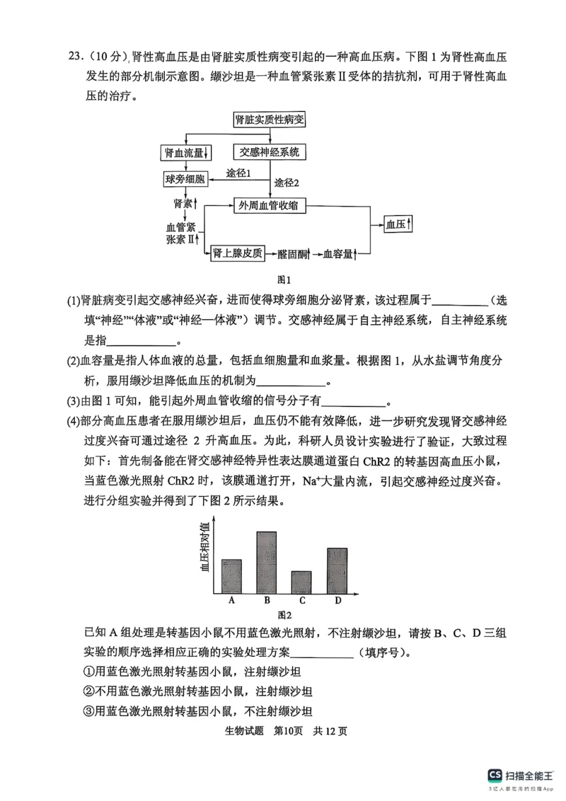 生物学试卷（2025届五诊）_2025年3月_250306山东省实验中学2025届高三第五次诊断考试（3月一模）（全科）_山东省实验中学2025届高三第五次诊断考试（3月一模）生物
