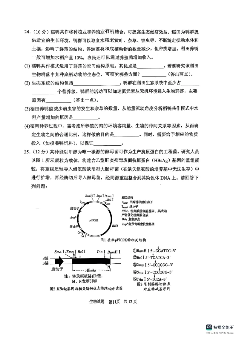 生物学试卷（2025届五诊）_2025年3月_250306山东省实验中学2025届高三第五次诊断考试（3月一模）（全科）_山东省实验中学2025届高三第五次诊断考试（3月一模）生物
