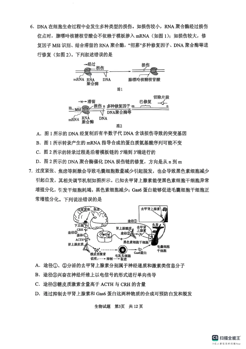 生物学试卷（2025届五诊）_2025年3月_250306山东省实验中学2025届高三第五次诊断考试（3月一模）（全科）_山东省实验中学2025届高三第五次诊断考试（3月一模）生物
