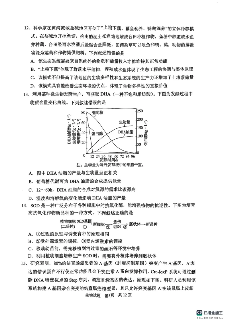 生物学试卷（2025届五诊）_2025年3月_250306山东省实验中学2025届高三第五次诊断考试（3月一模）（全科）_山东省实验中学2025届高三第五次诊断考试（3月一模）生物