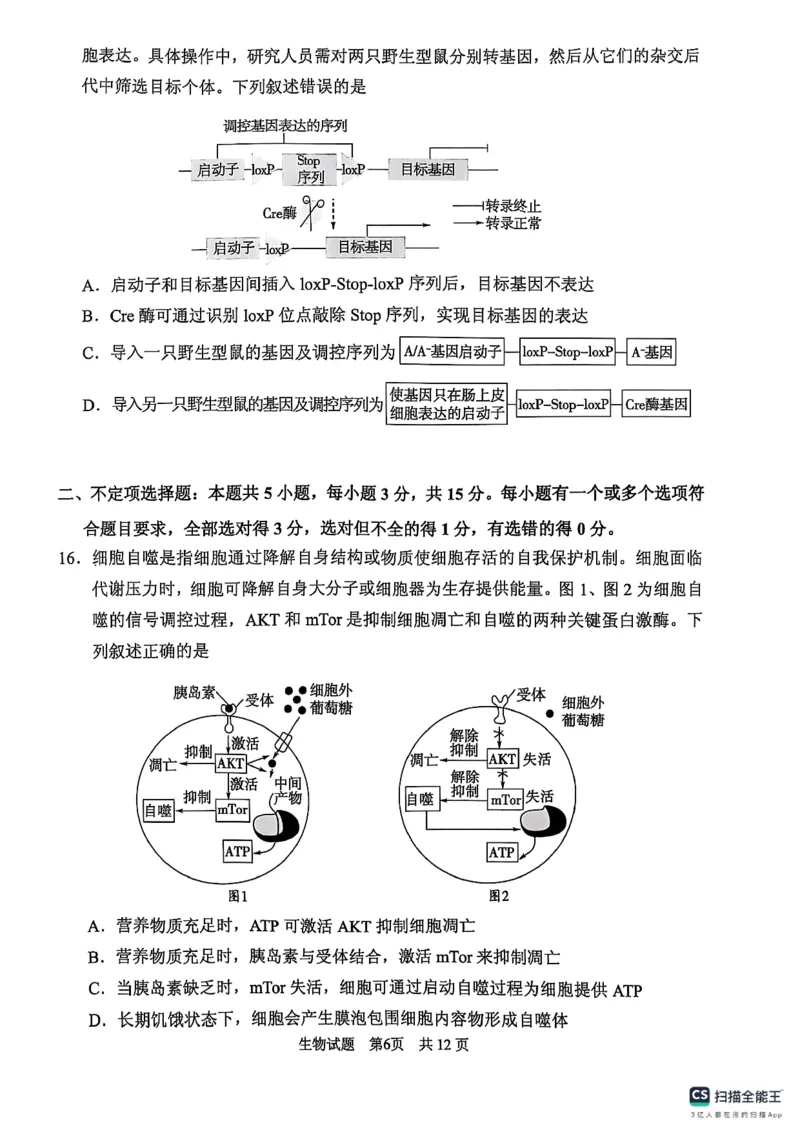 生物学试卷（2025届五诊）_2025年3月_250306山东省实验中学2025届高三第五次诊断考试（3月一模）（全科）_山东省实验中学2025届高三第五次诊断考试（3月一模）生物