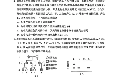 生物学试卷（2025届五诊）_2025年3月_250306山东省实验中学2025届高三第五次诊断考试（3月一模）（全科）_山东省实验中学2025届高三第五次诊断考试（3月一模）生物