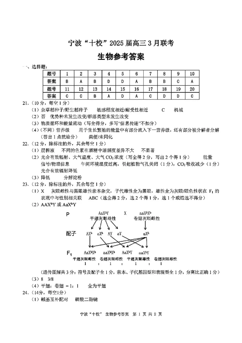 生物答案_2025年3月_250314浙江省宁波市宁波&ldquo;十校&rdquo;2025届高三3月联考（全科）_浙江省宁波十校联考2024-2025学年高三下学期3月联考生物
