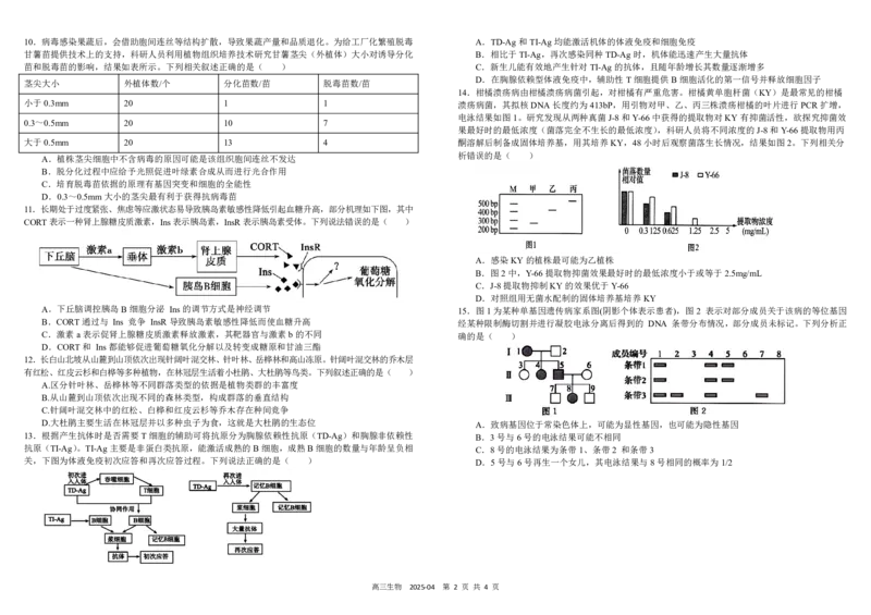 四川省成都市树德中学2024-2025学年高三下学期4月月考试题生物PDF版含答案_2025年4月_250414四川省成都市树德中学2024-2025学年高三下学期4月月考（全科）