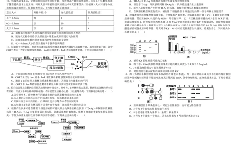 四川省成都市树德中学2024-2025学年高三下学期4月月考试题生物PDF版含答案_2025年4月_250414四川省成都市树德中学2024-2025学年高三下学期4月月考（全科）