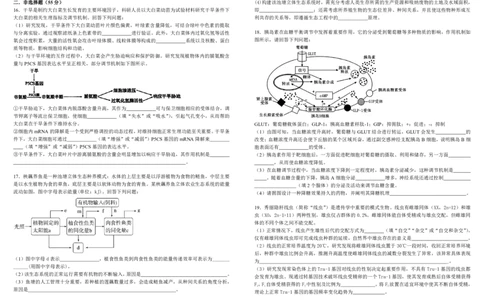 四川省成都市树德中学2024-2025学年高三下学期4月月考试题生物PDF版含答案_2025年4月_250414四川省成都市树德中学2024-2025学年高三下学期4月月考（全科）