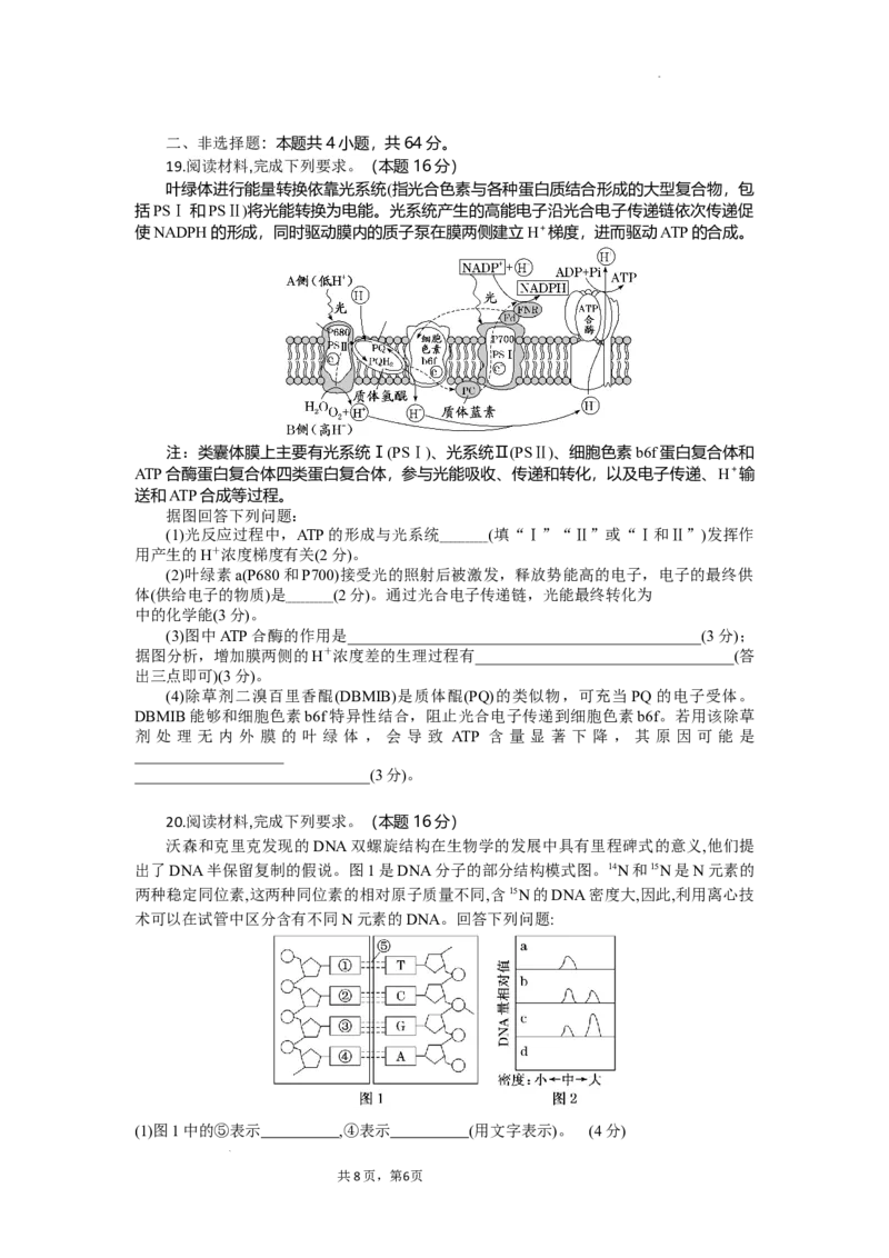 湖北省部分高中协作体联考2025-2026学年高三上学期9月月考生物试题_2025年9月_250924湖北省部分高中协作体联考2025-2026学年高三上学期9月联考（全科）