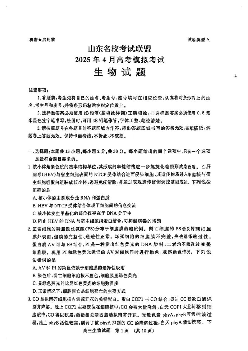 生物试卷_2025年4月_250421山东名校考试联盟2025届高三4月高考模拟考试_山东省山东名校考试联盟2025年高三4月高考模拟考试生物