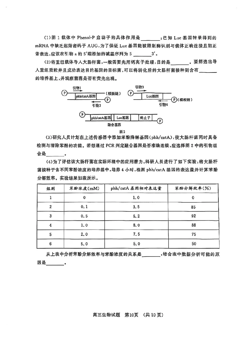 生物试卷_2025年4月_250421山东名校考试联盟2025届高三4月高考模拟考试_山东省山东名校考试联盟2025年高三4月高考模拟考试生物