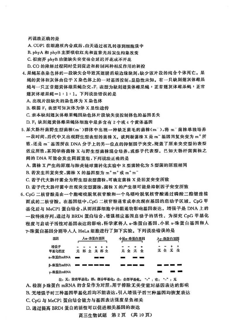 生物试卷_2025年4月_250421山东名校考试联盟2025届高三4月高考模拟考试_山东省山东名校考试联盟2025年高三4月高考模拟考试生物