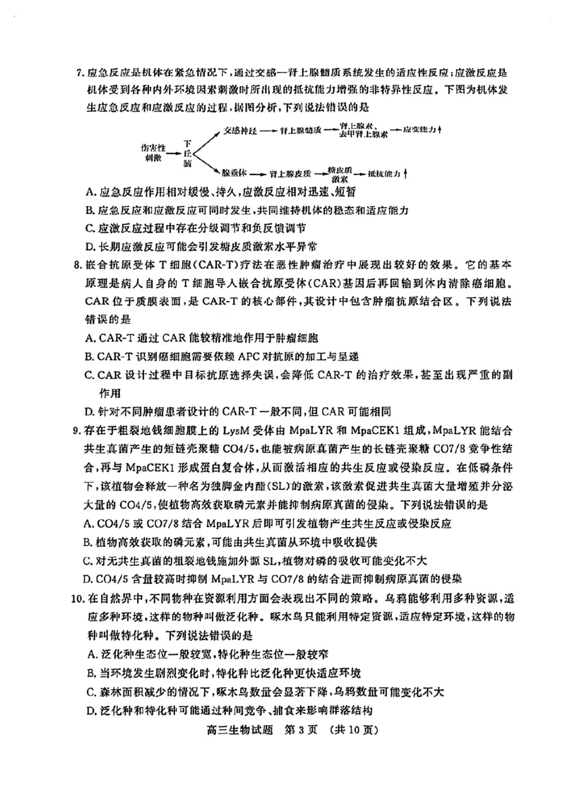 生物试卷_2025年4月_250421山东名校考试联盟2025届高三4月高考模拟考试_山东省山东名校考试联盟2025年高三4月高考模拟考试生物