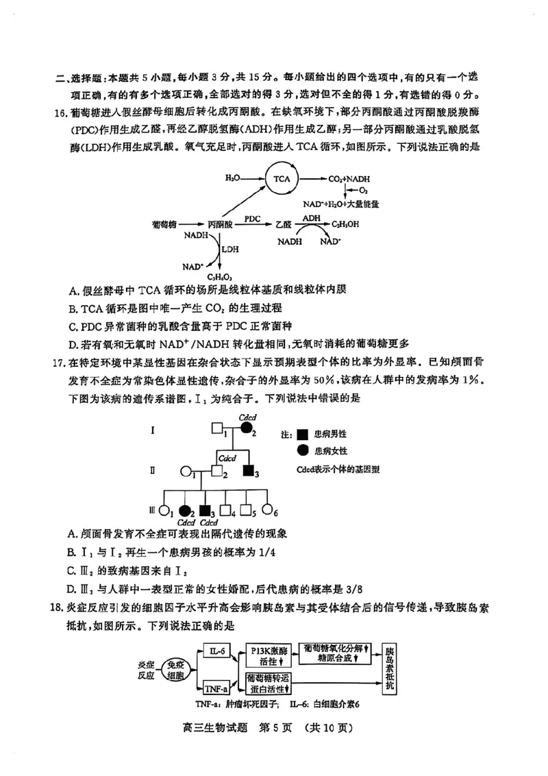 生物试卷_2025年4月_250421山东名校考试联盟2025届高三4月高考模拟考试_山东省山东名校考试联盟2025年高三4月高考模拟考试生物