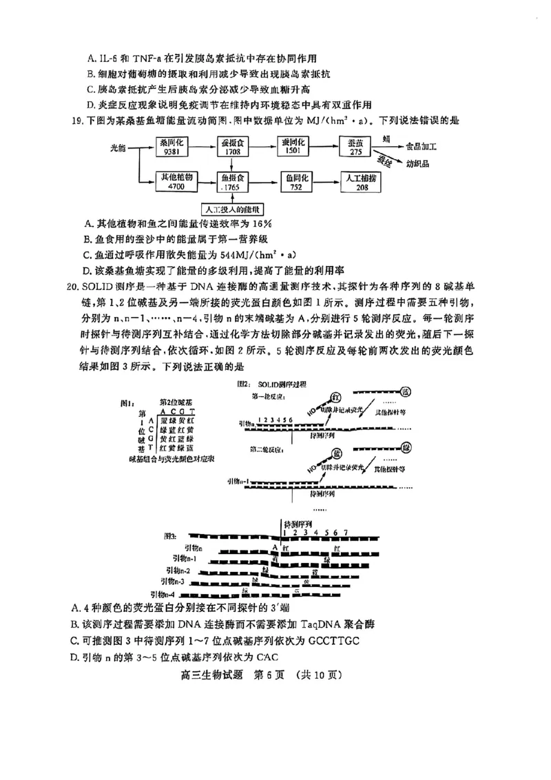 生物试卷_2025年4月_250421山东名校考试联盟2025届高三4月高考模拟考试_山东省山东名校考试联盟2025年高三4月高考模拟考试生物