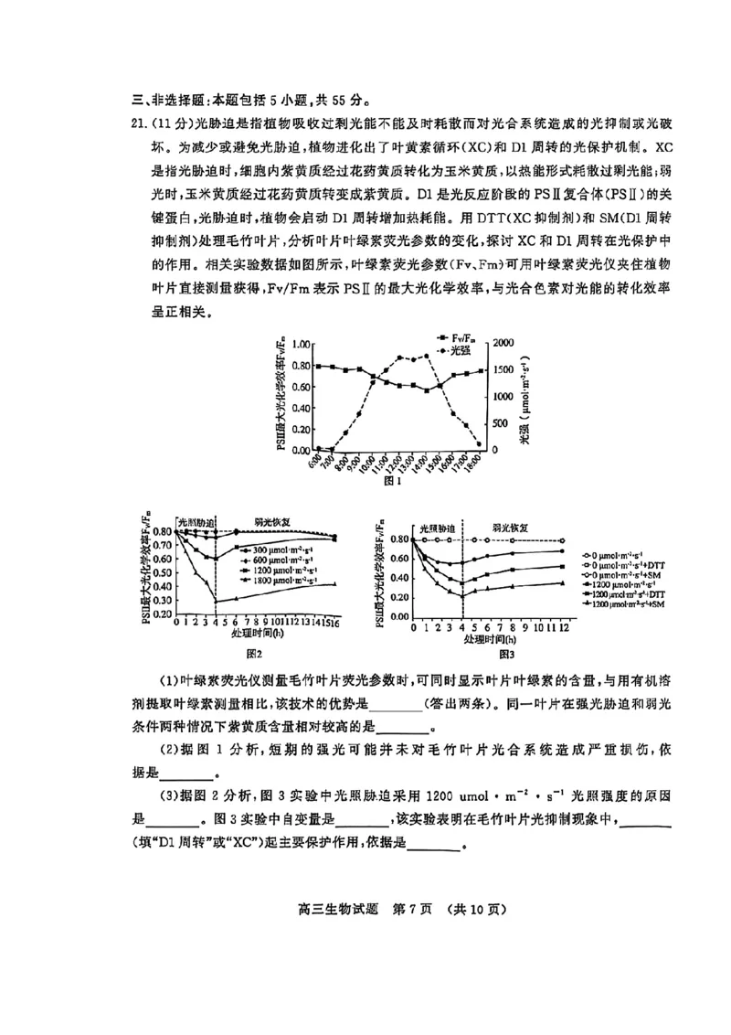生物试卷_2025年4月_250421山东名校考试联盟2025届高三4月高考模拟考试_山东省山东名校考试联盟2025年高三4月高考模拟考试生物