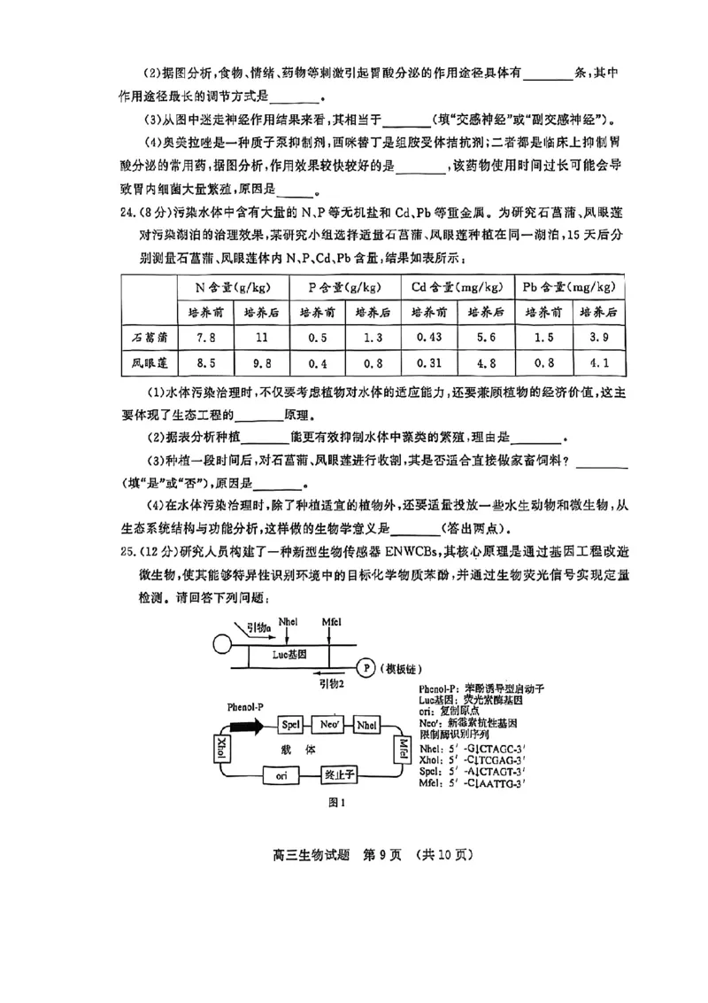 生物试卷_2025年4月_250421山东名校考试联盟2025届高三4月高考模拟考试_山东省山东名校考试联盟2025年高三4月高考模拟考试生物