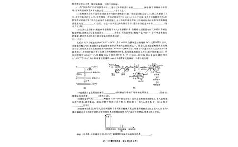 江西省九江市十校联考2024-2025学年高三下学期2月月考生物试题+答案_2025年2月_250210江西省九江十校2025届高三2月开学联考