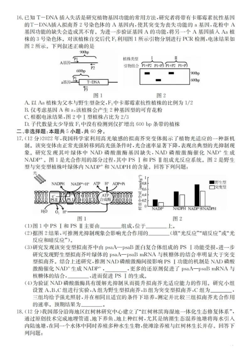广东省&ldquo;八校联盟&rdquo;2026届高三上学期质量检测（二）生物试卷（含答案）_2025年10月_251014广东省&ldquo;八校联盟&rdquo;2026届高三上学期质量检测（二）（全科）