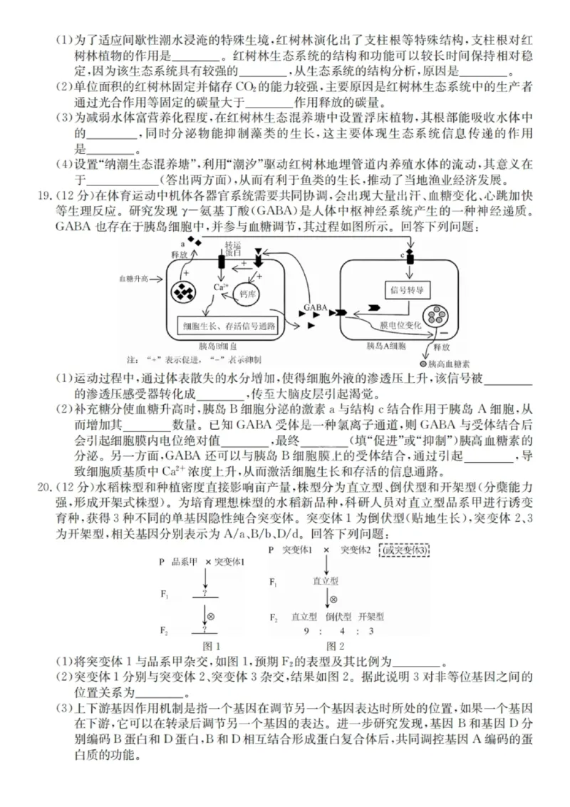 广东省&ldquo;八校联盟&rdquo;2026届高三上学期质量检测（二）生物试卷（含答案）_2025年10月_251014广东省&ldquo;八校联盟&rdquo;2026届高三上学期质量检测（二）（全科）