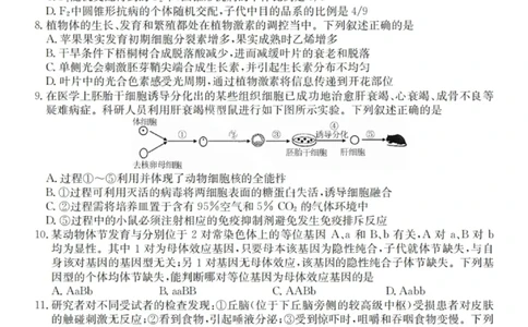 广东省&ldquo;八校联盟&rdquo;2026届高三上学期质量检测（二）生物试卷（含答案）_2025年10月_251014广东省&ldquo;八校联盟&rdquo;2026届高三上学期质量检测（二）（全科）