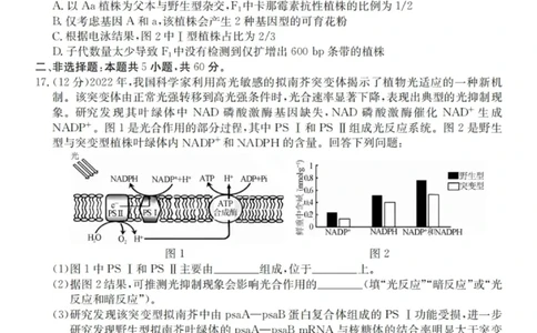 广东省&ldquo;八校联盟&rdquo;2026届高三上学期质量检测（二）生物试卷（含答案）_2025年10月_251014广东省&ldquo;八校联盟&rdquo;2026届高三上学期质量检测（二）（全科）