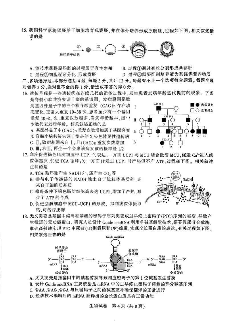 江苏省南通市2024-2025学年高三上学期第一次调研测试生物+答案_2025年1月_250118江苏省南通市2024-2025学年高三上学期一模（南通+泰州+镇江+盐城部分学校）（全科）
