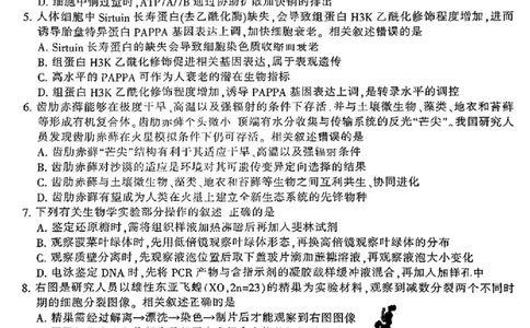 江苏省南通市2024-2025学年高三上学期第一次调研测试生物+答案_2025年1月_250118江苏省南通市2024-2025学年高三上学期一模（南通+泰州+镇江+盐城部分学校）（全科）